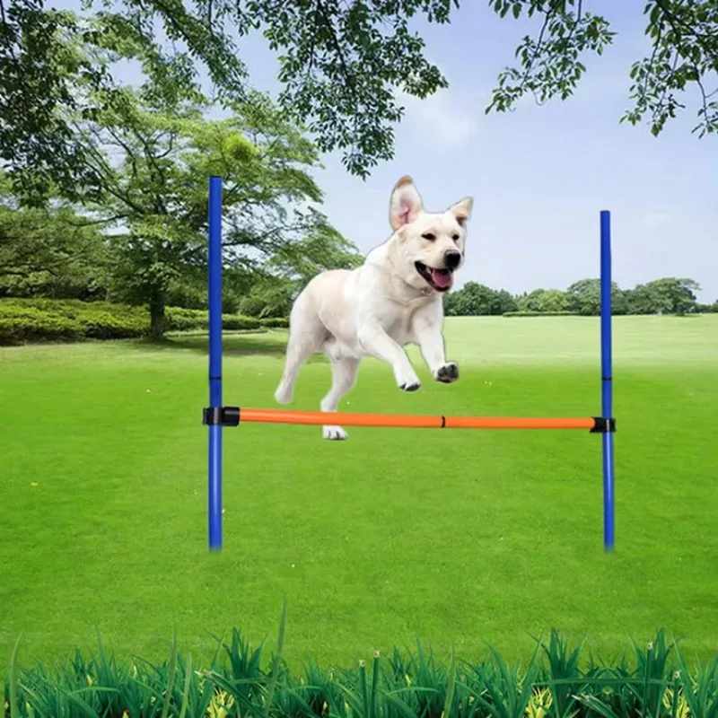 training equipment dog agility - Agility Hurdle Set review and price